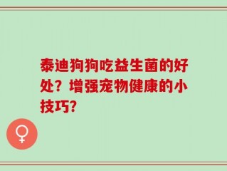 泰迪狗狗吃益生菌的好处？增强宠物健康的小技巧？