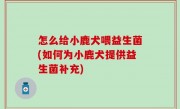 怎么给小鹿犬喂益生菌(如何为小鹿犬提供益生菌补充)