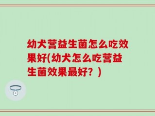 幼犬营益生菌怎么吃效果好(幼犬怎么吃营益生菌效果最好？)