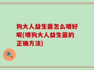 狗大人益生菌怎么喂好呢(喂狗大人益生菌的正确方法)