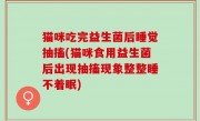 猫咪吃完益生菌后睡觉抽搐(猫咪食用益生菌后出现抽搐现象整整睡不着眠)