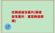 吃肠道益生菌片(肠道益生菌片：重塑肠道健康)