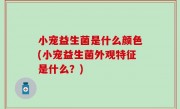 小宠益生菌是什么颜色(小宠益生菌外观特征是什么？)
