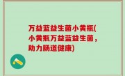 万益蓝益生菌小黄瓶(小黄瓶万益蓝益生菌，助力肠道健康)