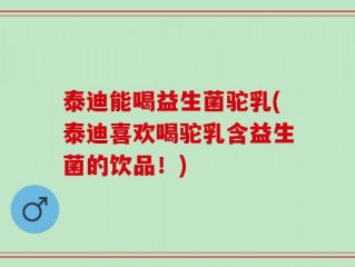 泰迪能喝益生菌驼乳(泰迪喜欢喝驼乳含益生菌的饮品！)