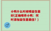 小鸭什么时候喂益生菌好(正确喂养小鸭：何时添加益生菌最佳？)