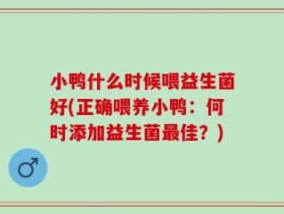 小鸭什么时候喂益生菌好(正确喂养小鸭：何时添加益生菌最佳？)