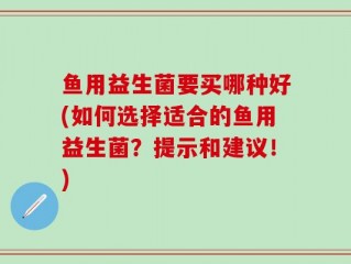 鱼用益生菌要买哪种好(如何选择适合的鱼用益生菌？提示和建议！)