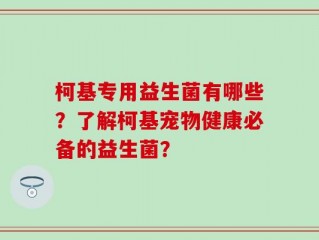 柯基专用益生菌有哪些？了解柯基宠物健康必备的益生菌？