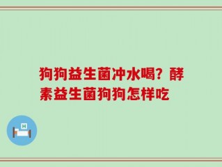 狗狗益生菌冲水喝？酵素益生菌狗狗怎样吃
