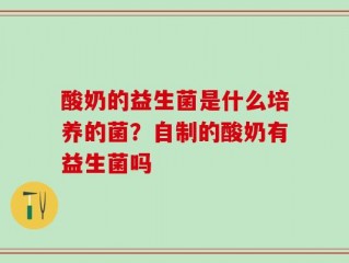酸奶的益生菌是什么培养的菌？自制的酸奶有益生菌吗