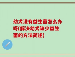 幼犬没有益生菌怎么办呀(解决幼犬缺少益生菌的方法简述)