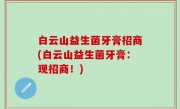 白云山益生菌牙膏招商(白云山益生菌牙膏：现招商！)