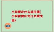 小狗要吃什么益生菌(小狗需要补充什么益生菌)