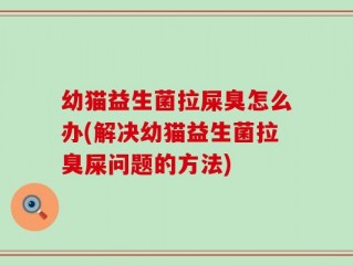 幼猫益生菌拉屎臭怎么办(解决幼猫益生菌拉臭屎问题的方法)