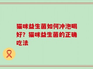 猫咪益生菌如何冲泡喝好？猫咪益生菌的正确吃法