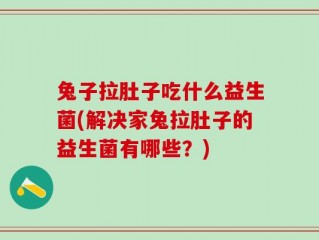 兔子拉肚子吃什么益生菌(解决家兔拉肚子的益生菌有哪些？)