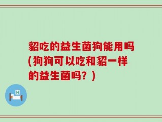 貂吃的益生菌狗能用吗(狗狗可以吃和貂一样的益生菌吗？)