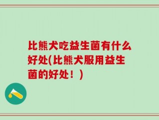 比熊犬吃益生菌有什么好处(比熊犬服用益生菌的好处！)