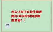 怎么让狗子吃益生菌呢图片(如何给狗狗添加益生菌？)