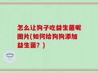 怎么让狗子吃益生菌呢图片(如何给狗狗添加益生菌？)