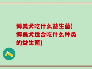 博美犬吃什么益生菌(博美犬适合吃什么种类的益生菌)