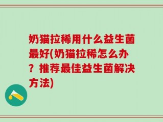 奶猫拉稀用什么益生菌最好(奶猫拉稀怎么办？推荐最佳益生菌解决方法)