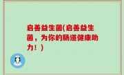 启善益生菌(启善益生菌，为你的肠道健康助力！)