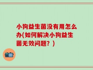 小狗益生菌没有用怎么办(如何解决小狗益生菌无效问题？)
