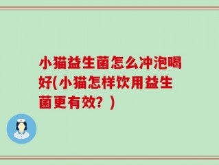 小猫益生菌怎么冲泡喝好(小猫怎样饮用益生菌更有效？)