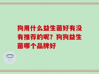 狗用什么益生菌好有没有推荐的呢？狗狗益生菌哪个品牌好