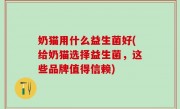 奶猫用什么益生菌好(给奶猫选择益生菌，这些品牌值得信赖)