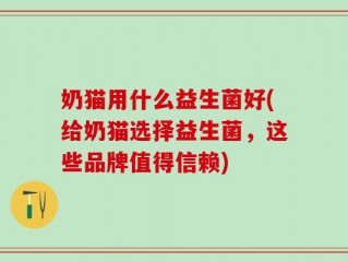 奶猫用什么益生菌好(给奶猫选择益生菌，这些品牌值得信赖)