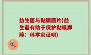 益生菌与黏膜图片(益生菌有助于保护黏膜屏障：科学家证明)