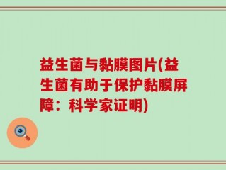 益生菌与黏膜图片(益生菌有助于保护黏膜屏障：科学家证明)