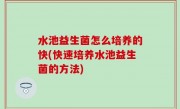 水池益生菌怎么培养的快(快速培养水池益生菌的方法)