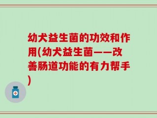 幼犬益生菌的功效和作用(幼犬益生菌——改善肠道功能的有力帮手)