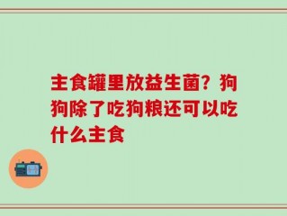 主食罐里放益生菌？狗狗除了吃狗粮还可以吃什么主食