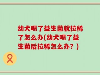 幼犬喝了益生菌就拉稀了怎么办(幼犬喝了益生菌后拉稀怎么办？)