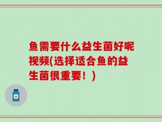 鱼需要什么益生菌好呢视频(选择适合鱼的益生菌很重要！)