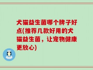 犬猫益生菌哪个牌子好点(推荐几款好用的犬猫益生菌，让宠物健康更放心)