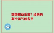 璐璐糖益生菌？给狗狗取个洋气的名字