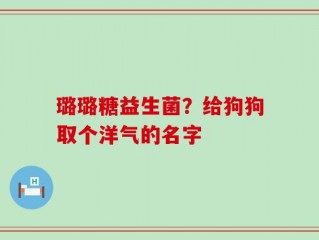 璐璐糖益生菌？给狗狗取个洋气的名字
