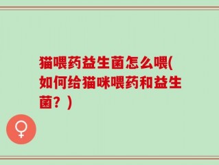 猫喂药益生菌怎么喂(如何给猫咪喂药和益生菌？)