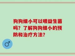 狗狗细小可以喂益生菌吗？了解狗狗细小的预防和治疗方法？