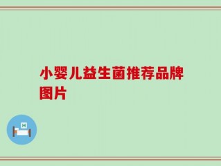 小婴儿益生菌推荐品牌图片