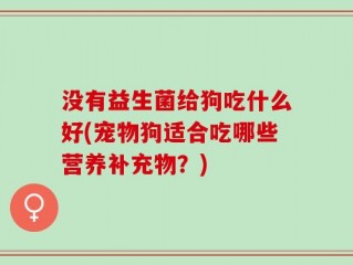 没有益生菌给狗吃什么好(宠物狗适合吃哪些营养补充物？)