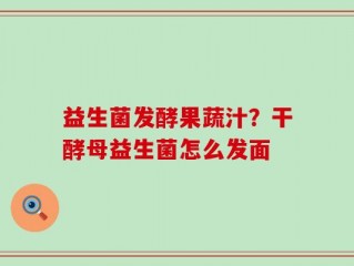 益生菌发酵果蔬汁？干酵母益生菌怎么发面