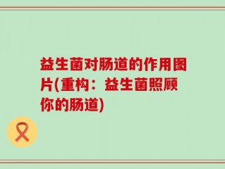 益生菌对肠道的作用图片(重构：益生菌照顾你的肠道)
