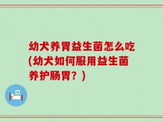 幼犬养胃益生菌怎么吃(幼犬如何服用益生菌养护肠胃？)